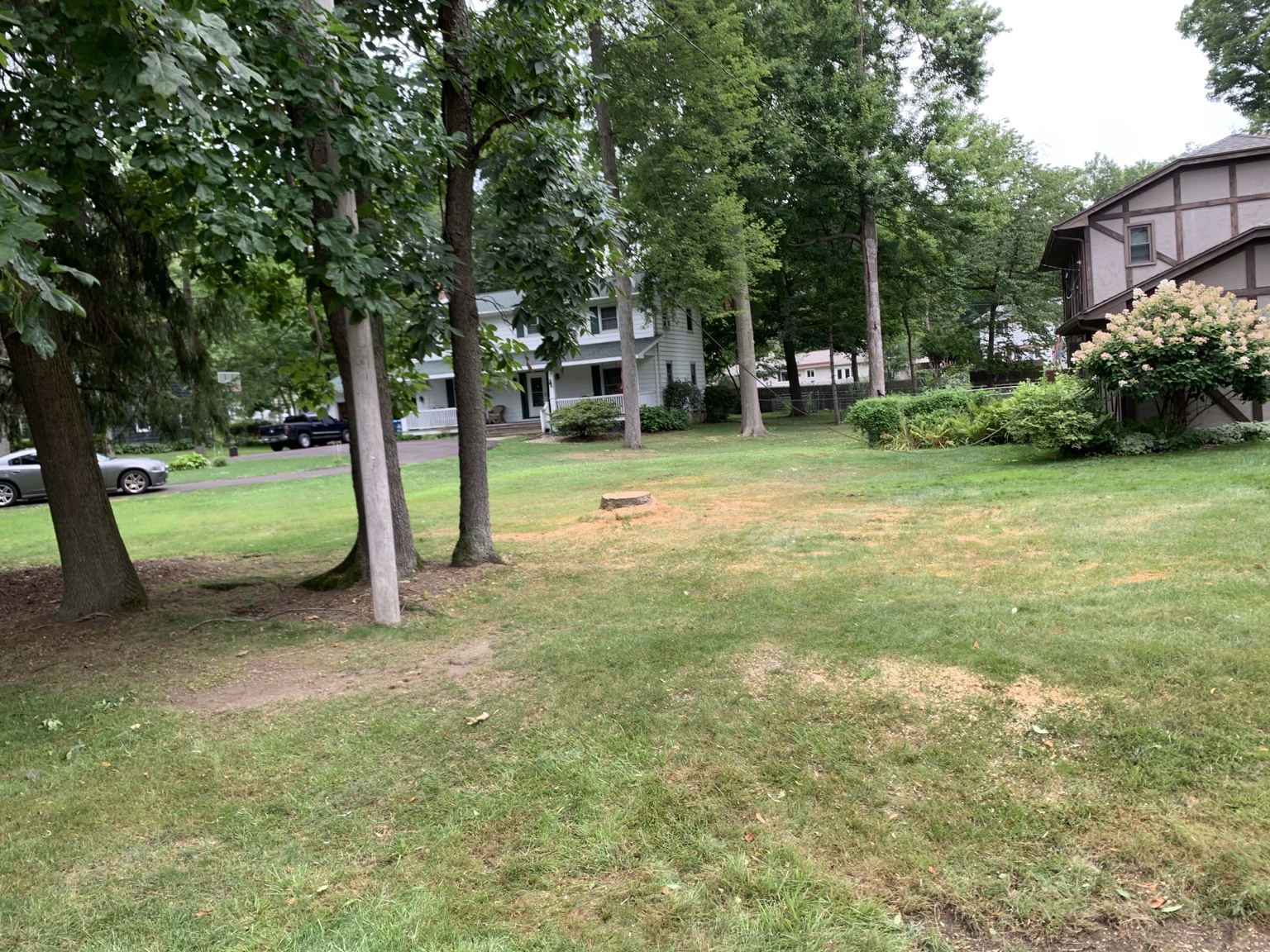 Completed stump removal and yard cleanup