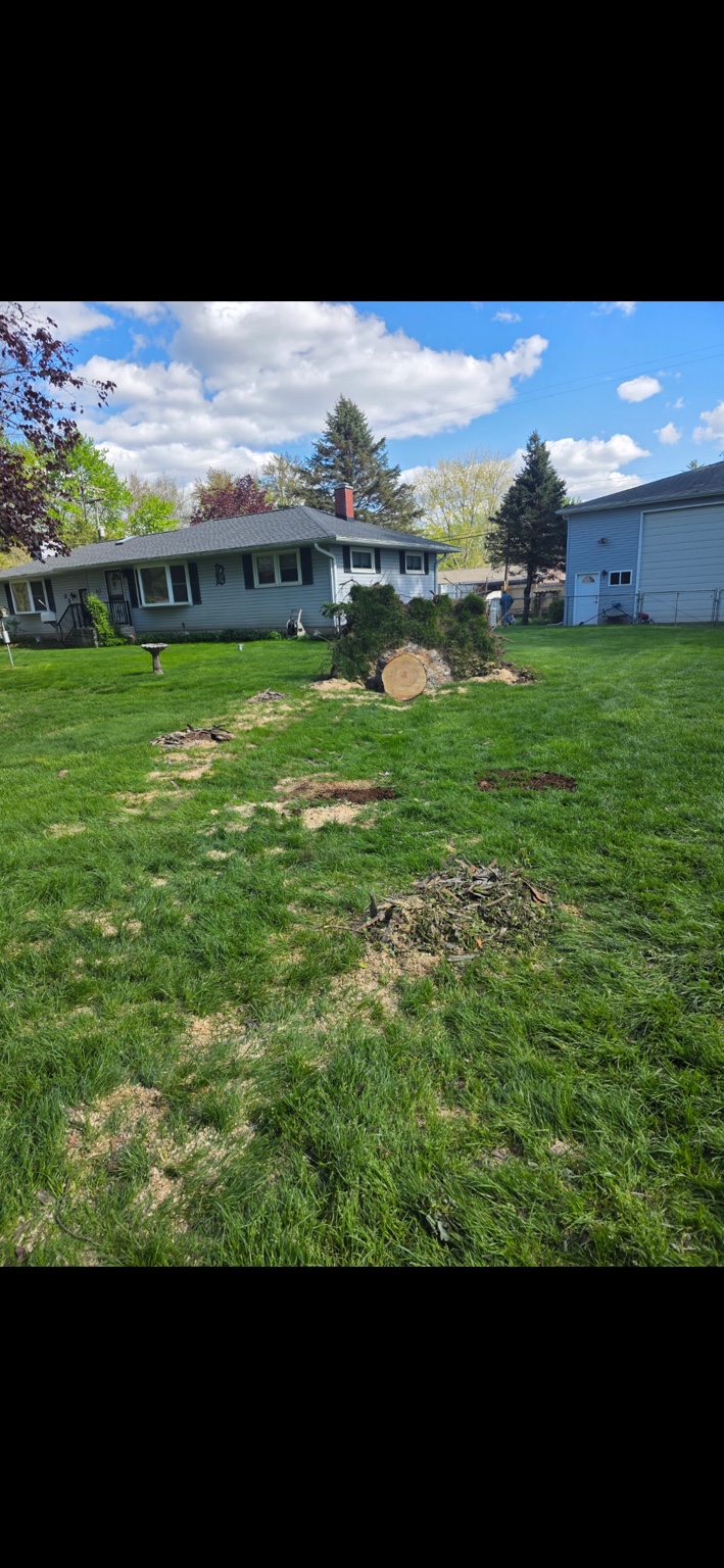 Tree removal work near residential property